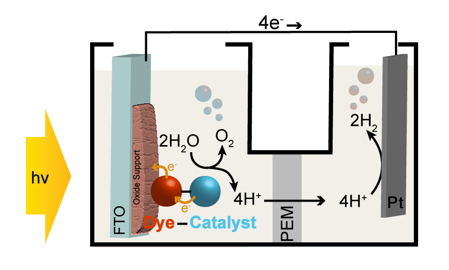 general schematic of a dye-sensitized photoelectrochemical cell